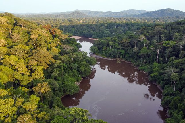 A landscape image of a river and rainforest in the Congo region of Africa.